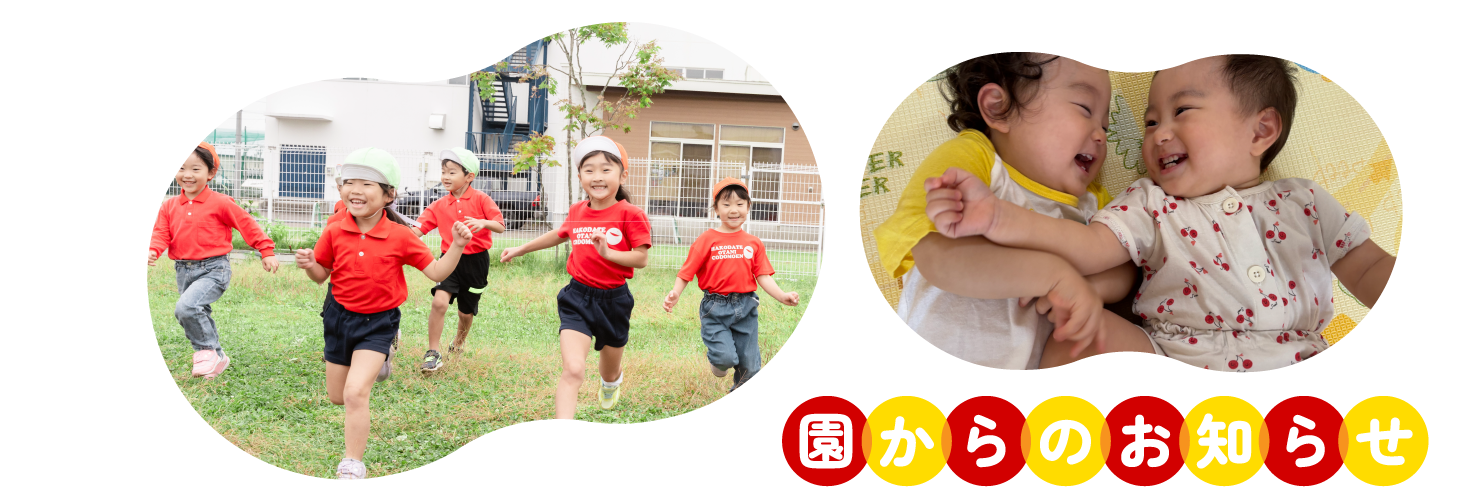 入園案内